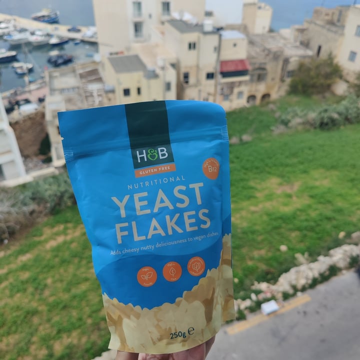 Holland & Barrett Nutritional Yeast Flakes Review abillion