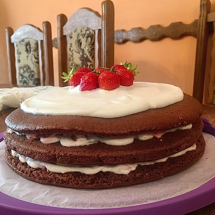 Freshona Light coconut milk Reviews abillion