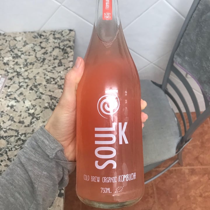 Soul kombucha Kombucha Review abillion