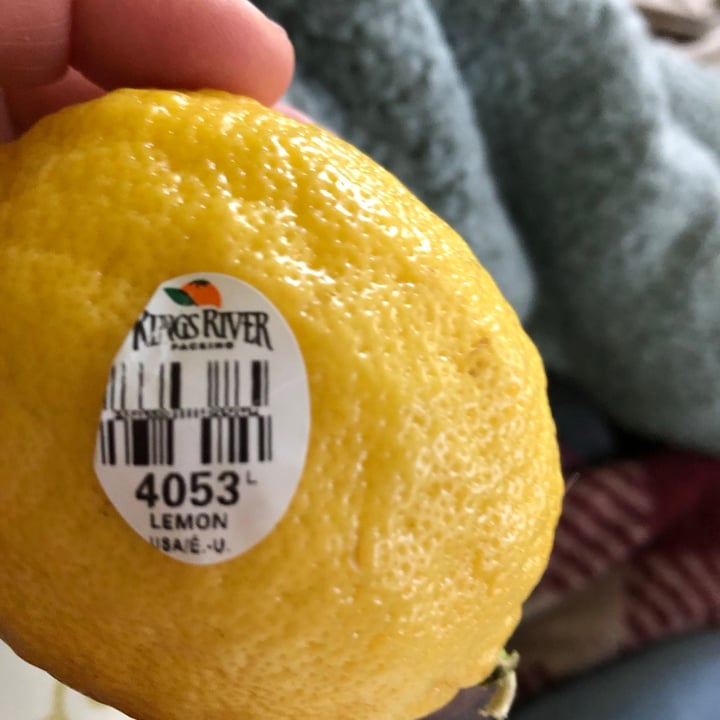 Kings River Lemon Review abillion