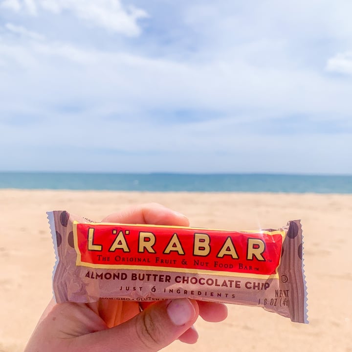 Larabar Almond butter Chocolate Chip Reviews abillion