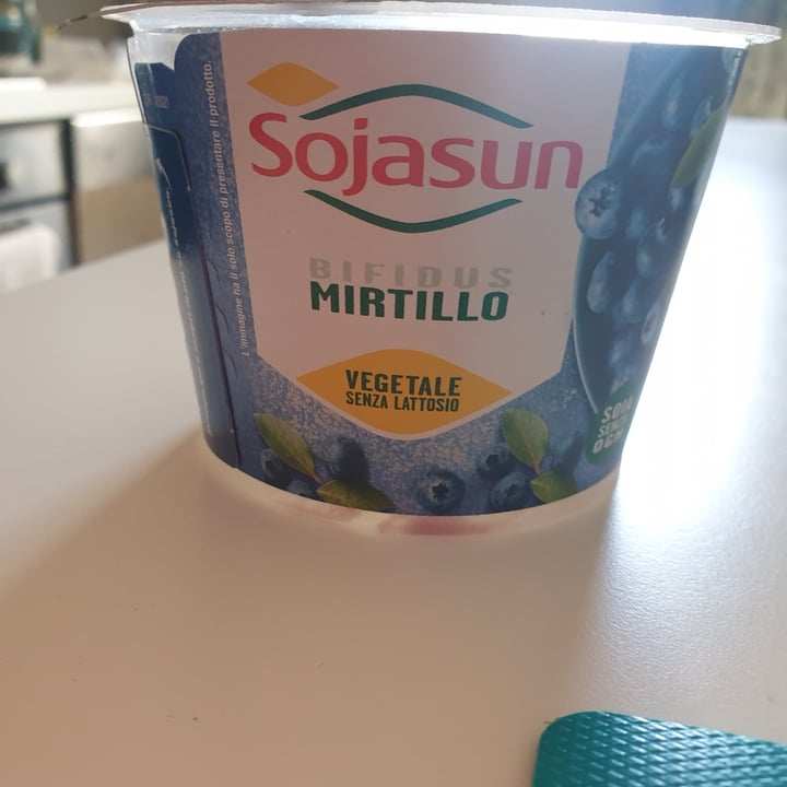 Sojasun Yogurt Bifidus Mirtillo Review Abillion