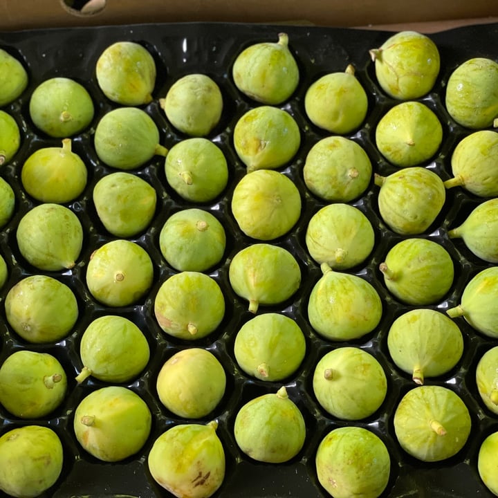 California figs Sierra figs Reviews abillion