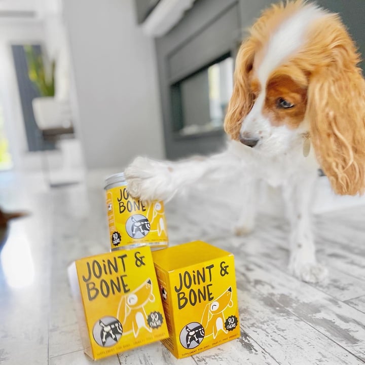 review photo of Taré Pets Advanced hip & joint supplements for dogs shared by @immira on 10 May 2022 - review