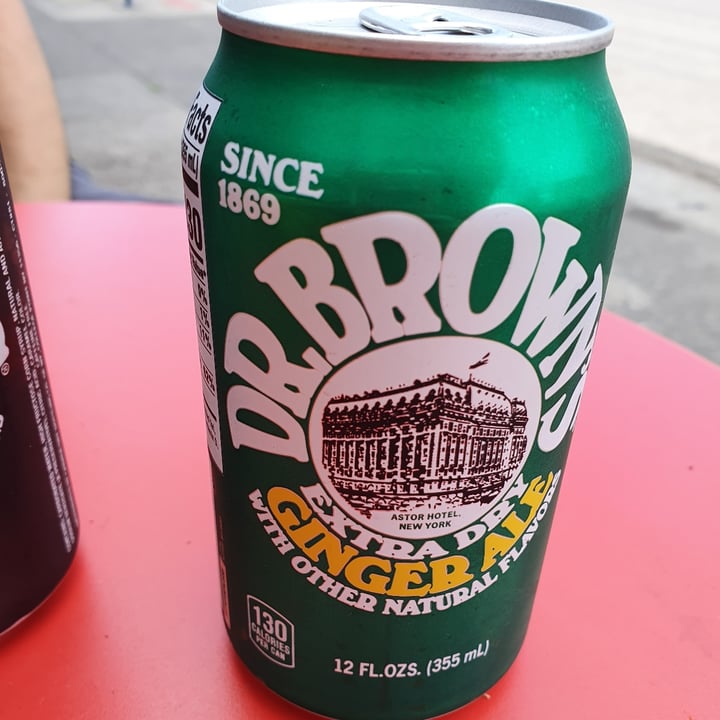 Dr. Brown's Ginger Ale Review abillion