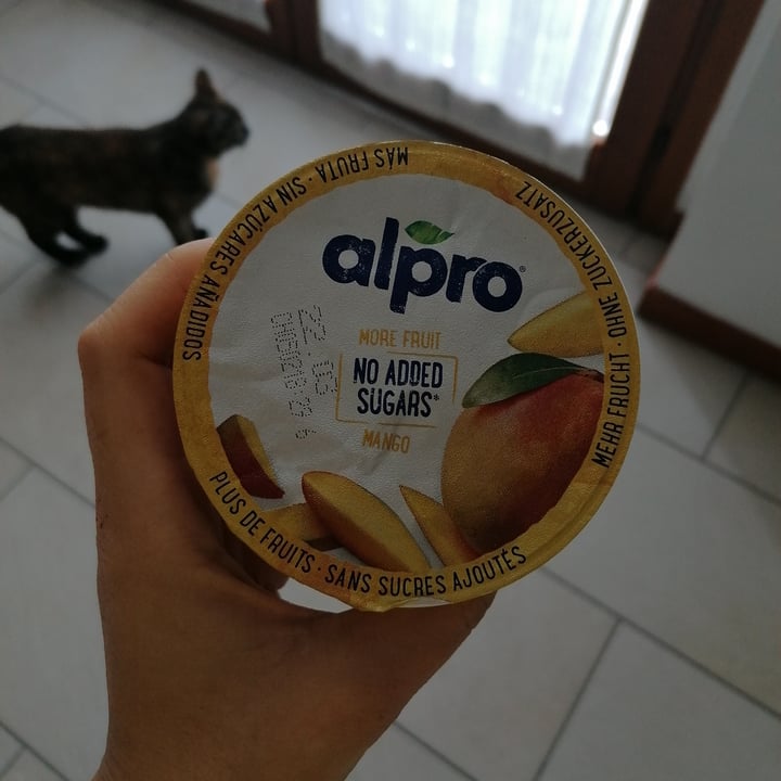Alpro Mango Yogurt No Added Sugars Review abillion