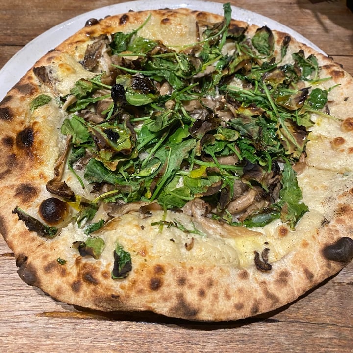 Double Zero Venice, Los Angeles, United States Truffle Review abillion