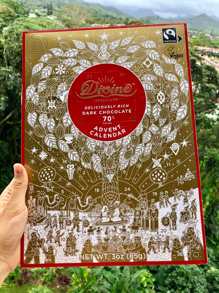 divine-chocolate-dark-chocolate-advent-calendar-review-abillion