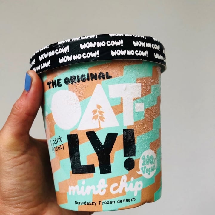 Oatly Mint Chip Nondairy Frozen Dessert Review abillion