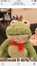 avatar of froggie5