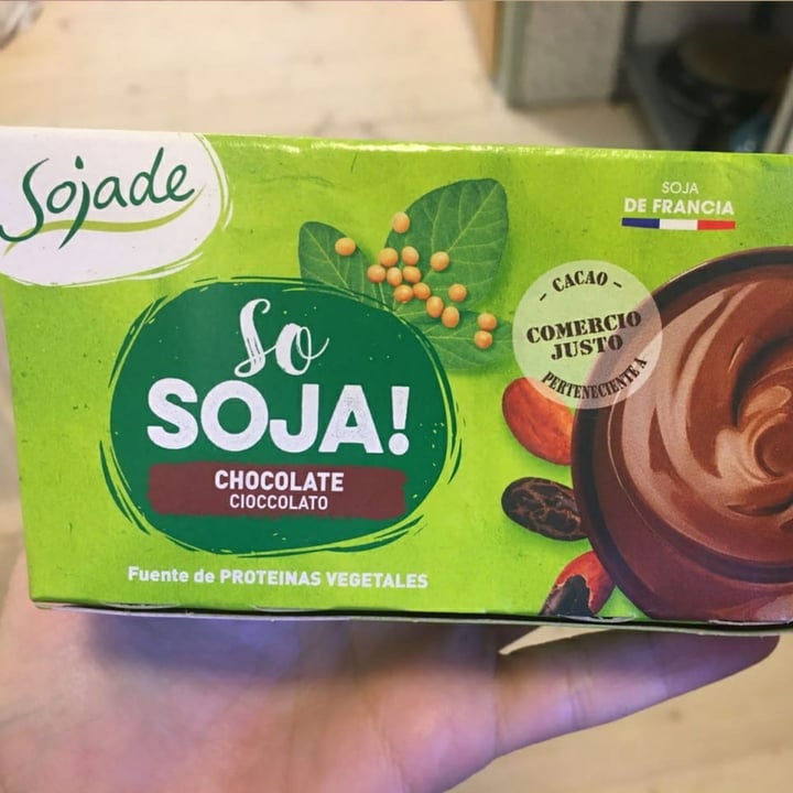 Sojade So Soja! Chocolate Ciocolato Soya Dessert Review abillion