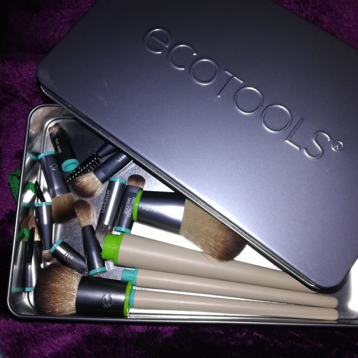 EcoTools Makeup Brushes Interchangeables Review abillion