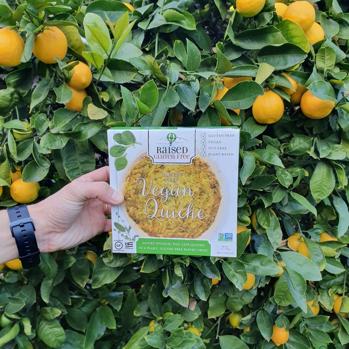 Raised gluten free Vegan Quiche Review abillion