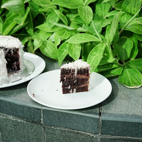 Vegan Coconut Chocolate Cake