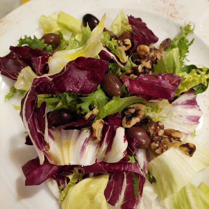 Osteria Il Gufo Perugia, Italy Insalata con Noci e Olive Taggiasche ...