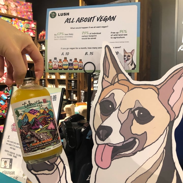 Taboocha Passion fruit Tumeric Green Tea Kombucha Review abillion