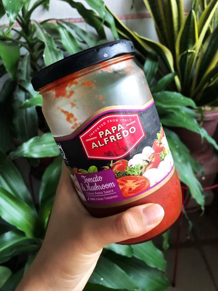 Papa Alfredo Tomato & Mushroom Pasta Sauce Review abillion