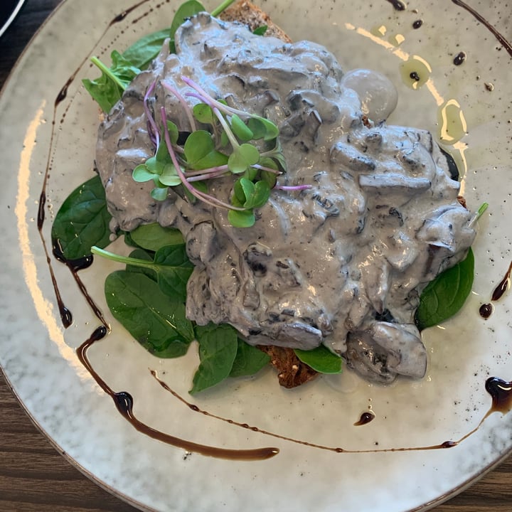 Mud Ducks Cafe Wanganui Whanganui, New Zealand Creamy mushrooms Review