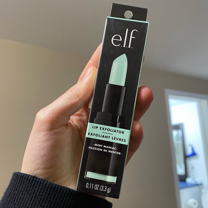 e.l.f. Cosmetics Lip Exfoliator In Mint Maniac Review abillion