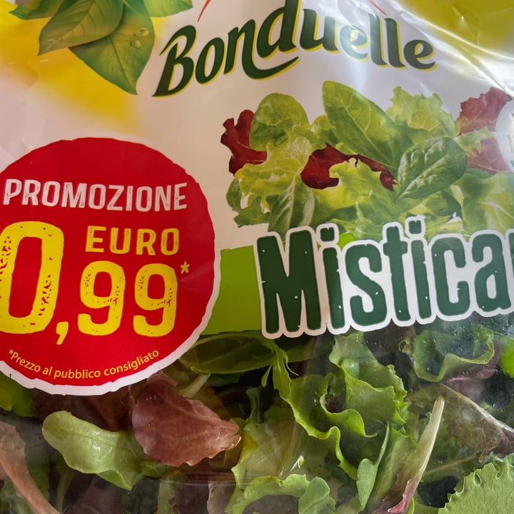 Bonduelle Bonduelle Misticanza Review abillion