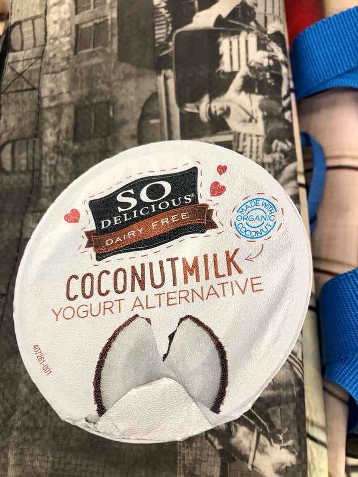 So Delicious Dairy Free Blueberry Coconut Milk Yogurt Alternative