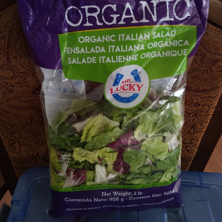 MR. LUCKY Ensalada Italiana Orgánica Reviews abillion