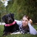 lisiares @lisiares profile image