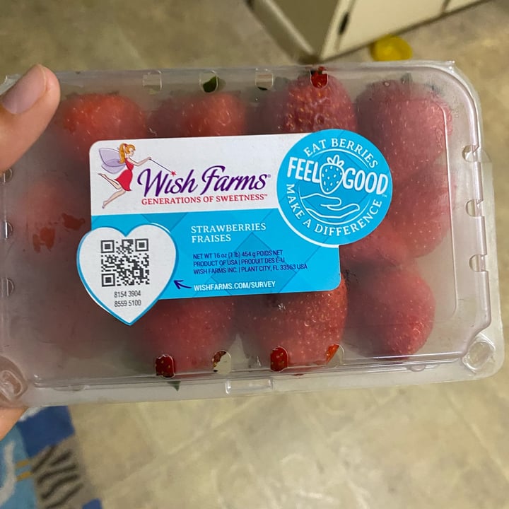 Wish farms Strawberries Review abillion