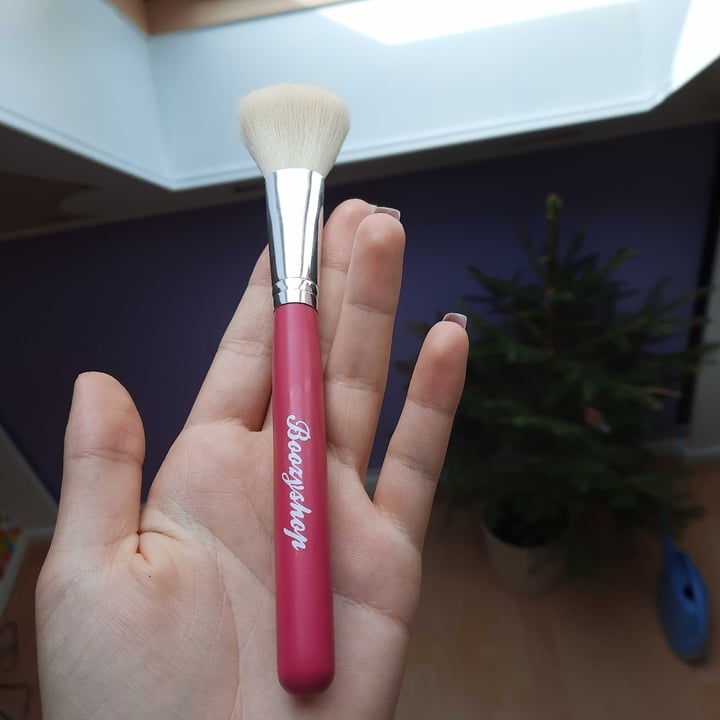Blush brush Review abillion