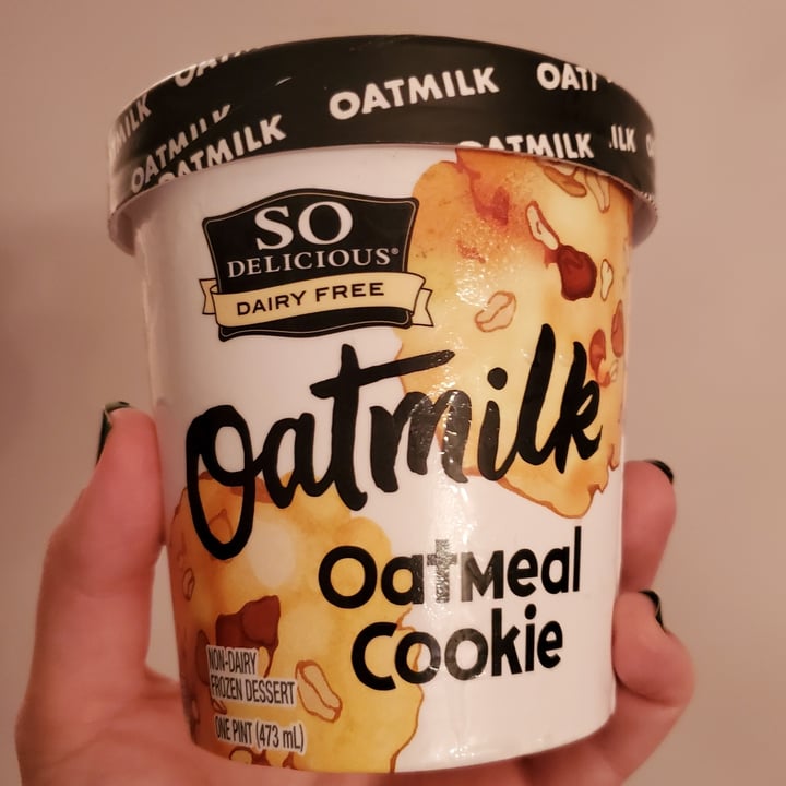 So Delicious Dairy Free Oatmilk Oatmeal Cookie Ice Cream Review abillion