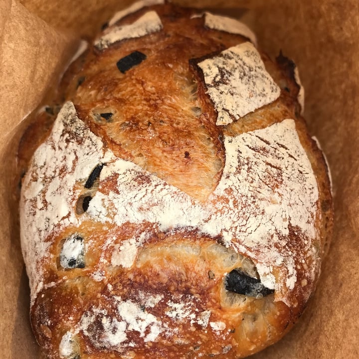 Firestone Bakery Roasted Garlic Olive Sourdough Reviews abillion