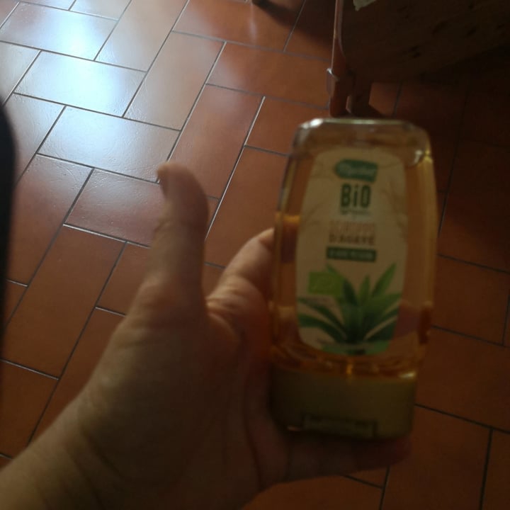 Maribel Agave syrup Review abillion