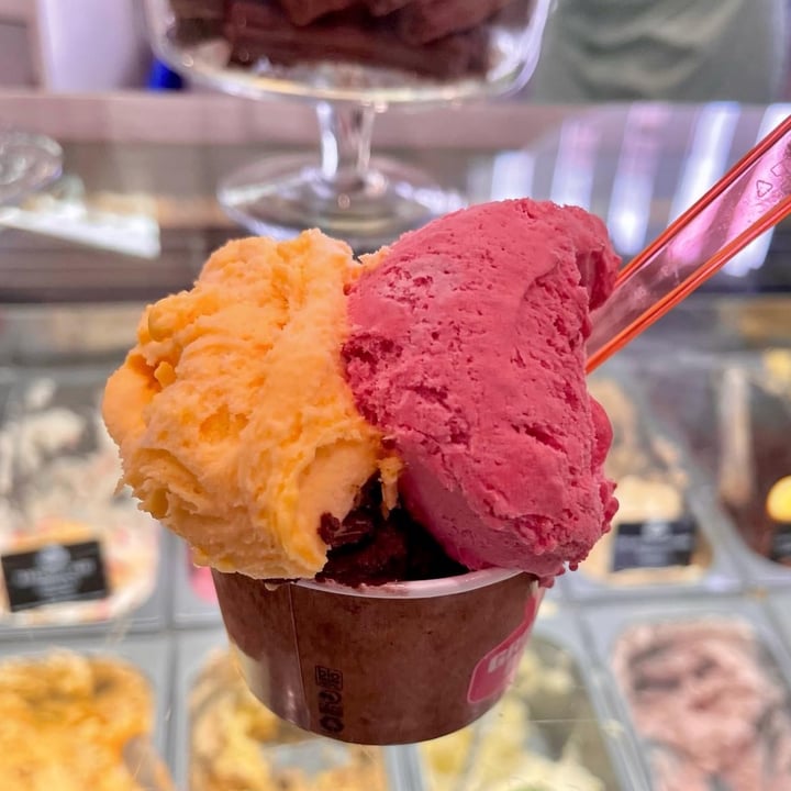 Groovy Moo Gelato Dairy free Gelato Review abillion