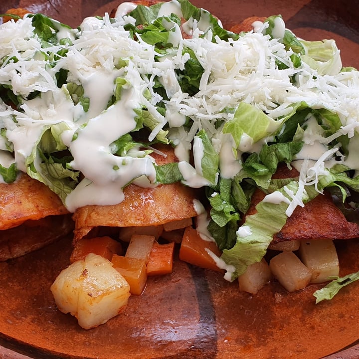 Mictlan Antojitos Veganos Enchiladas Reviews abillion