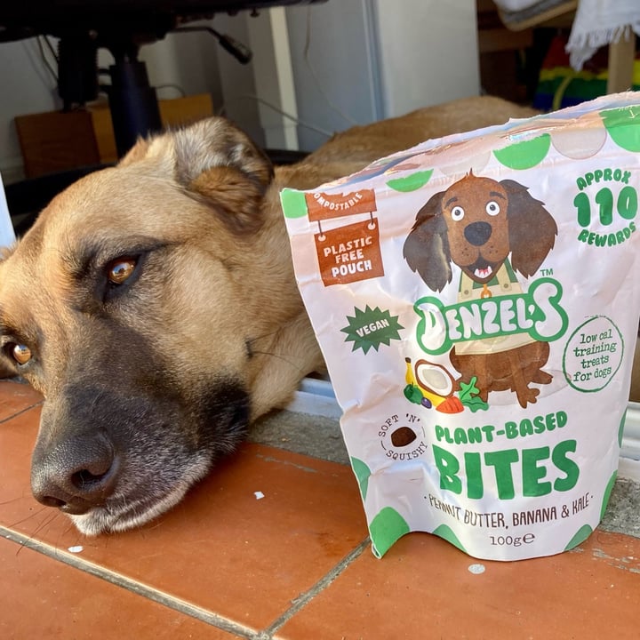 Denzels Plant Based Dog Treats Review abillion