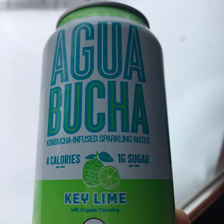 Mother Kombucha Agua bucha key lime sparkling water Review abillion
