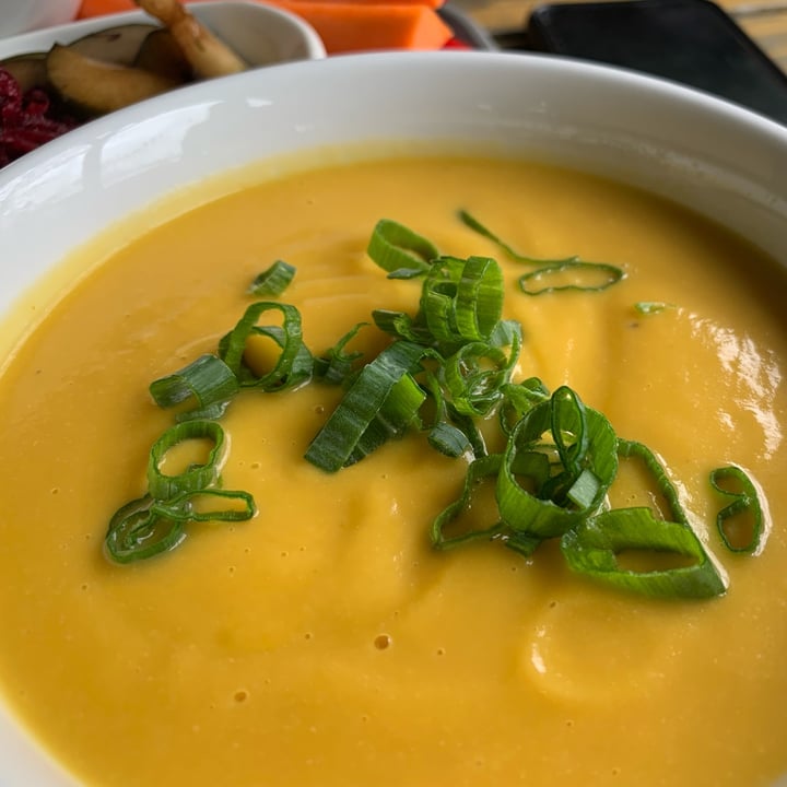 Hopscotch Coffee Bloomington, United States Vegan Soup Review abillion