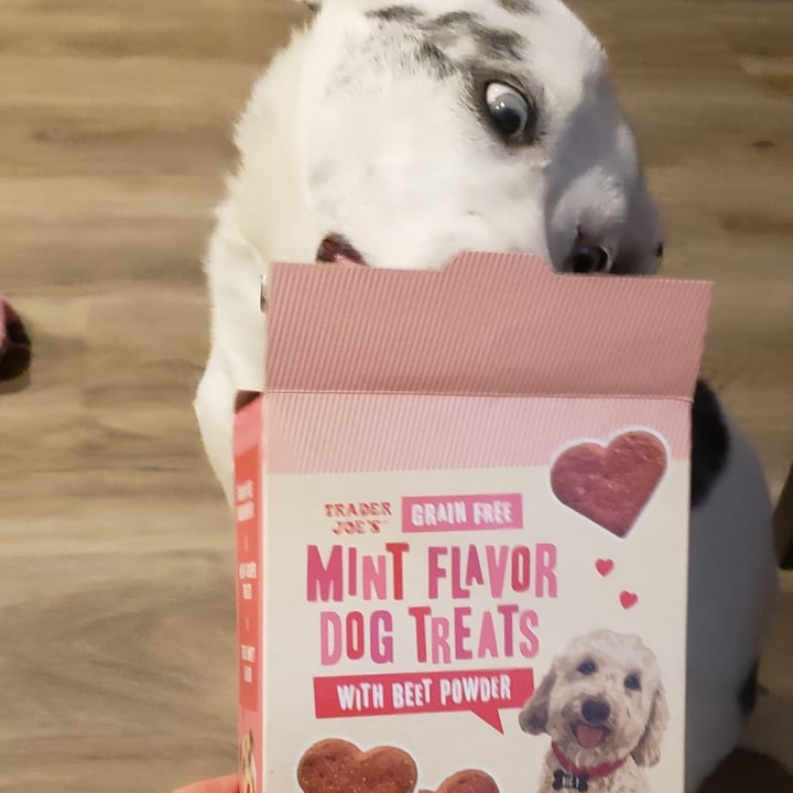 Trader Joe's Mint Flavor Dog Treats Review abillion