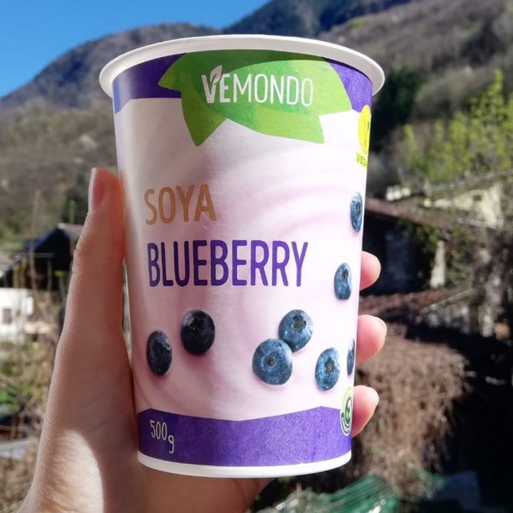 Vemondo Yogurt soya blueberry Review abillion