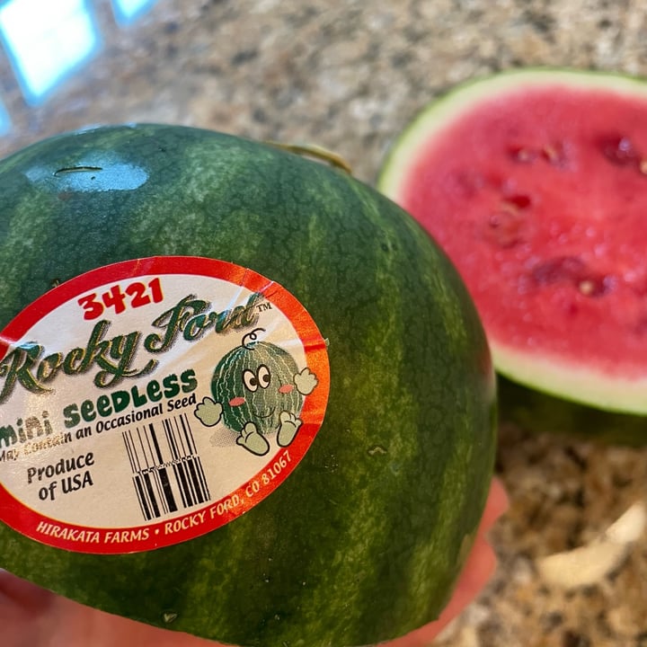 Rocky Ford Mini Seedless Watermelon Reviews abillion