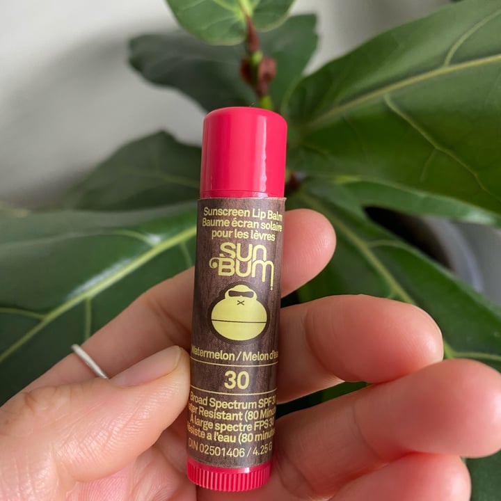 Sun Bum Lip Balm Watermelon Reviews abillion