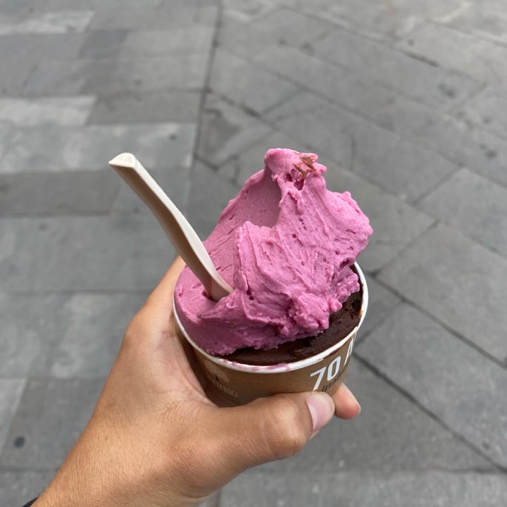 La Romana Gelato La Romana Gelato