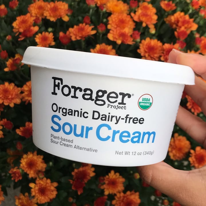 Forager Project Organic Dairyfree Sour Cream Review abillion