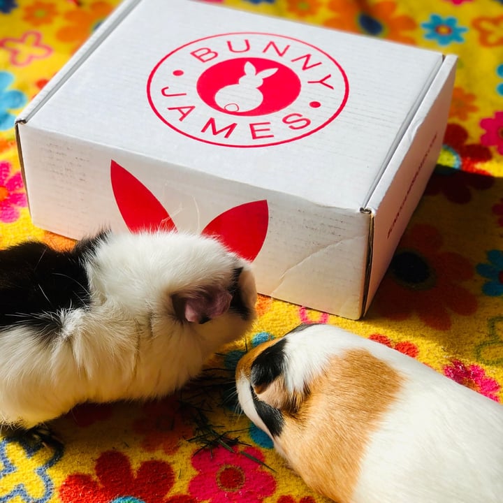 Bunny James Premium Vegan Box (20 Count) Review abillion