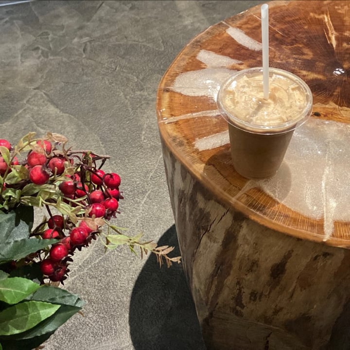 Base V Juicery Healthy food Juice & Smoothie store Firenze, Italy Wake