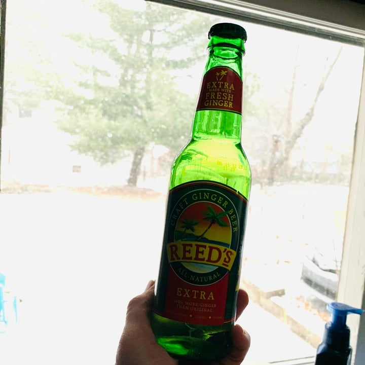 Reed s Extra Ginger Beer Review Abillion reed-s-extra-ginger-beer-review-abillion