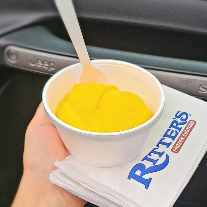 Ritter's Frozen Custard Beavercreek Mangolicious Italian Ice Reviews