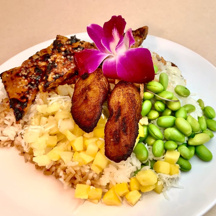 Sharks Cove United States Tropical Protein Bowl Review abillion