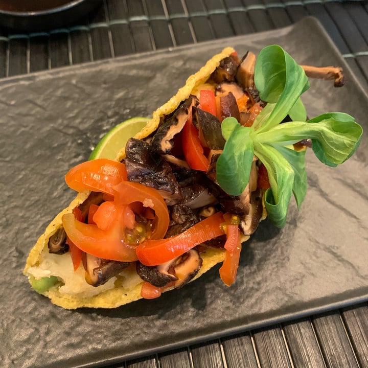 Zushi Bologna, Italy Tacos veggie Review abillion