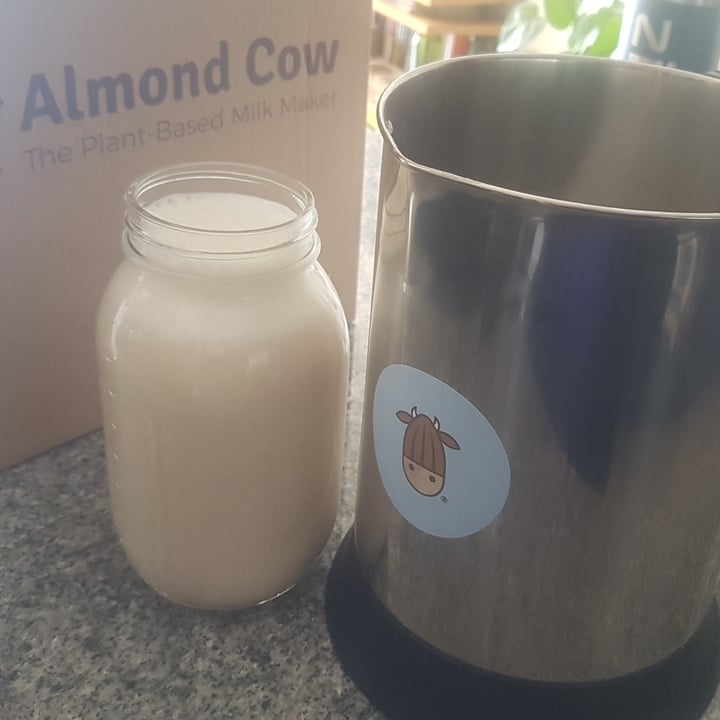 AlmondCow Almond Cow Review abillion
